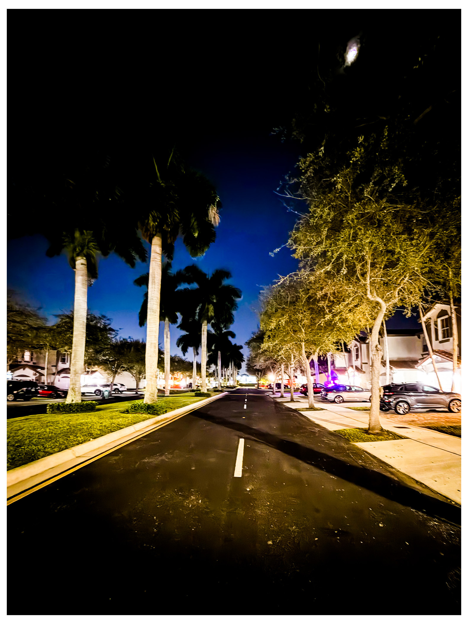 A quiet street lined with palm trees and parked cars is illuminated by streetlights at night.
